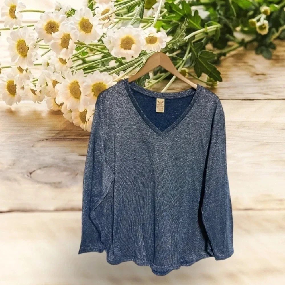 3X‎ 22-24 Blue Glitter Metallic V Neck Pullover Long Sleeve Lightweight Sparkle